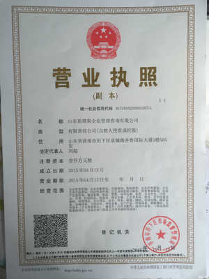 山東斯塔斯企業管理咨詢 專業賦能，引領企業發展新篇章